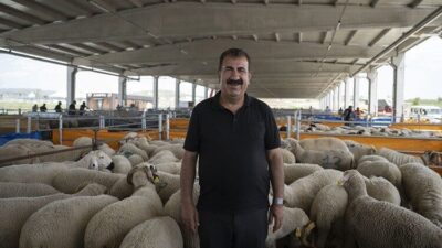 Tarımsal Üretim ve Küçükbaş Yetiştiricileri (TÜRKYED) Genel Başkanı Nihat Çelik,