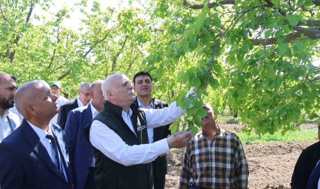 Türkiye Ziraat Odaları Birliği (TZOB) Genel Başkanı Şemsi Bayraktar, Iğdır’da