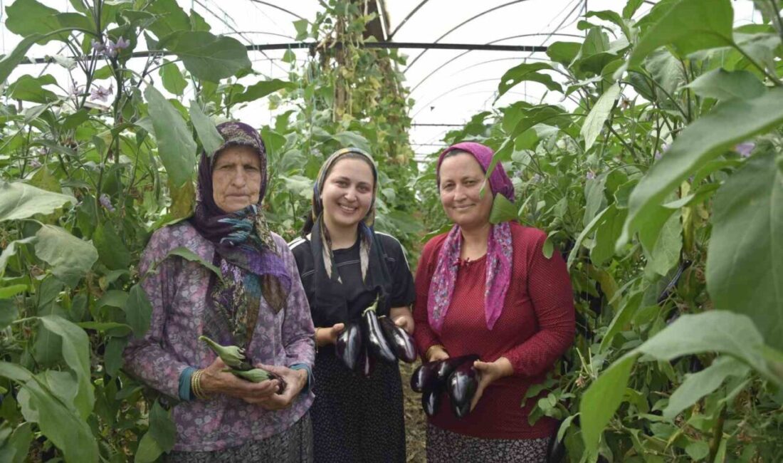 Antalya’nın Aksu ilçesine bağlı Boztepe Mahallesi’nde yaşayan Teslime Uçkan, kızı