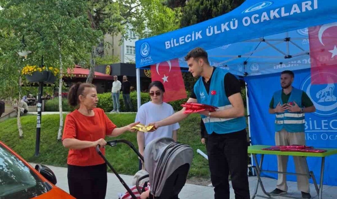 Ülkü Ocakları Bilecik İl Başkanlığı tarafından Anneler Günü dolayısıyla çarşı