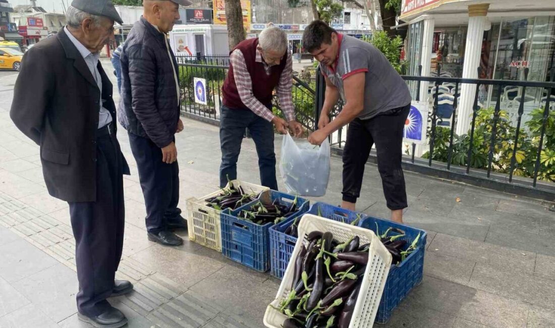 Antalya’da bir üretici maliyetini kurtarmadığı gerekçesiyle tonlarca patlıcanı halka ücretsiz