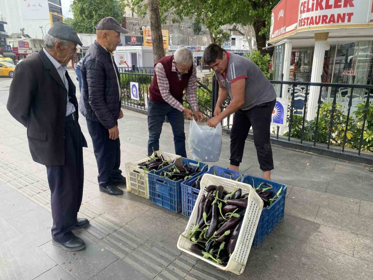Antalya’da bir üretici maliyetini kurtarmadığı gerekçesiyle tonlarca patlıcanı halka ücretsiz