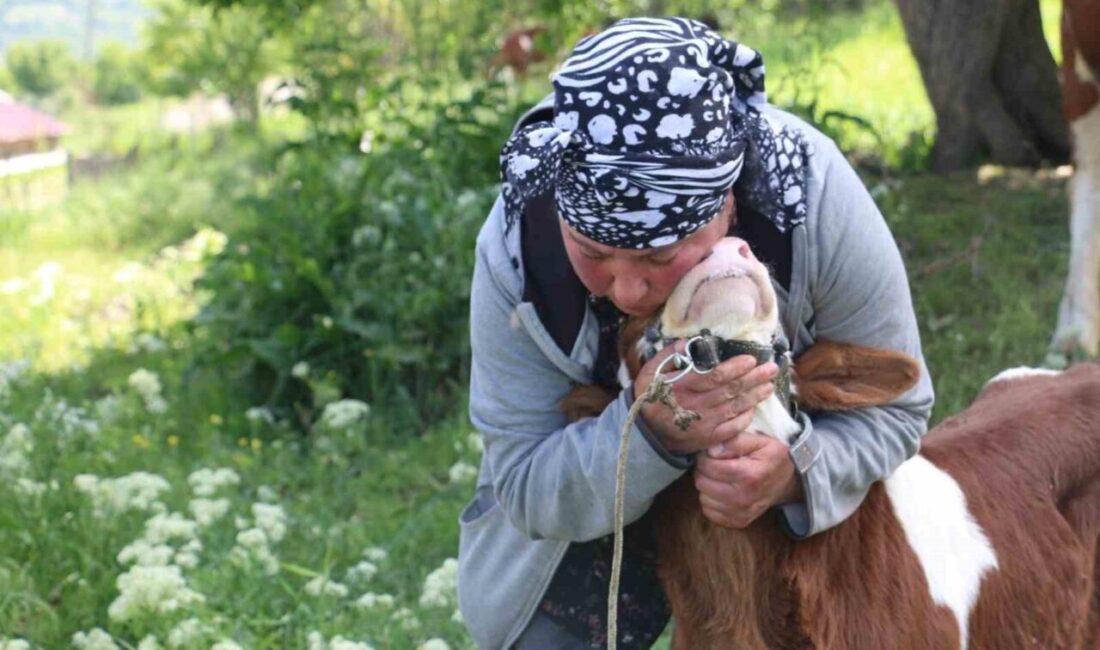 Erzincan’ın Üzümlü ilçesine bağlı Derebük köyünde yaşayan Gürcistanlı Nino Eroğlu,