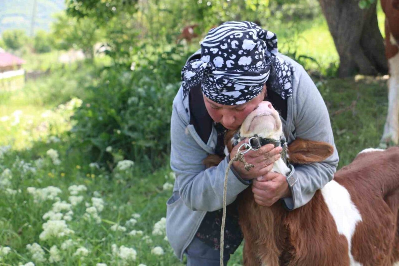 Erzincan’ın Üzümlü ilçesine bağlı Derebük köyünde yaşayan Gürcistanlı Nino Eroğlu,