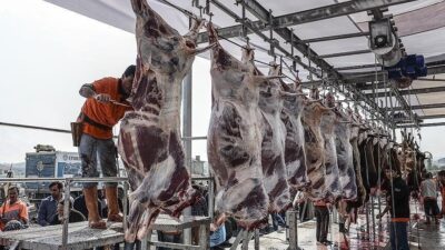 Edirne’nin Uzunköprü ilçesinde Uzunköprü Kaymakamlığı, Halk Eğitimi Merkezi tarafından Kurban