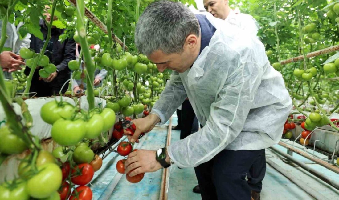 Afyonkarahisar’da domates üretimde önemli bir yere sahip Sandıklı ilçesini ziyaret