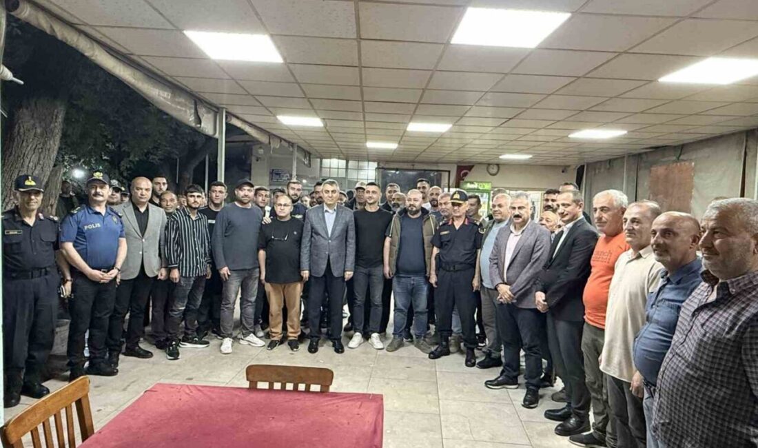 Mersin Valisi Atilla Toros, Tarsus Kaymakamı Mehmet Ali Akyüz, İl