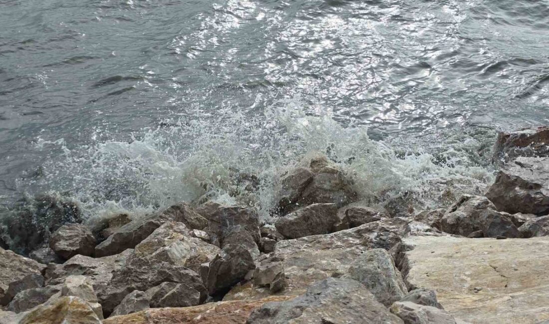 Van’da saatte yaklaşık 30 kilometre hıza ulaşan rüzgar, Van Gölü’nde