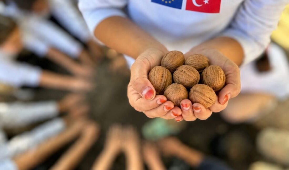 Van Ticaret ve Sanayi Odası (Van TSO) Avrupa Birliği (AB)