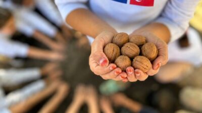 Van Ticaret ve Sanayi Odası (Van TSO) Avrupa Birliği (AB)