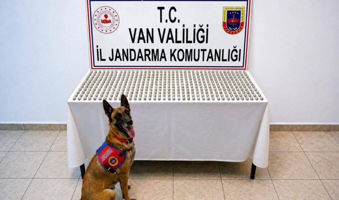 Van’da jandarma ekiplerince yapılan çalışmalar sonucu 8 İran uyruklu şahsın