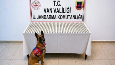 Van’da jandarma ekiplerince yapılan çalışmalar sonucu 8 İran uyruklu şahsın
