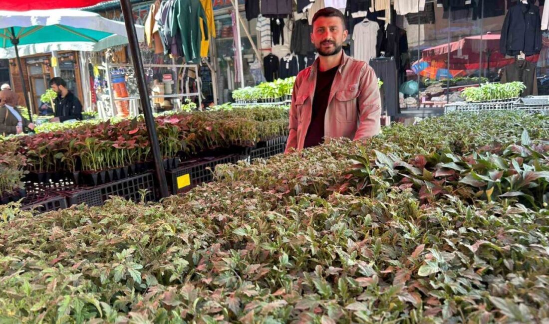 Van’da hava sıcaklıklarının artmasıyla birlikte tarım ve bahçecilik sezonu açılırken,