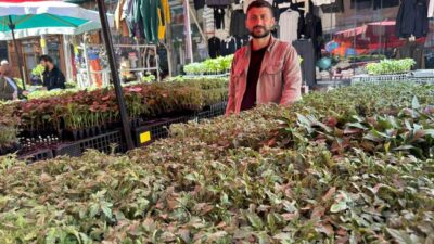 Van’da hava sıcaklıklarının artmasıyla birlikte tarım ve bahçecilik sezonu açılırken,