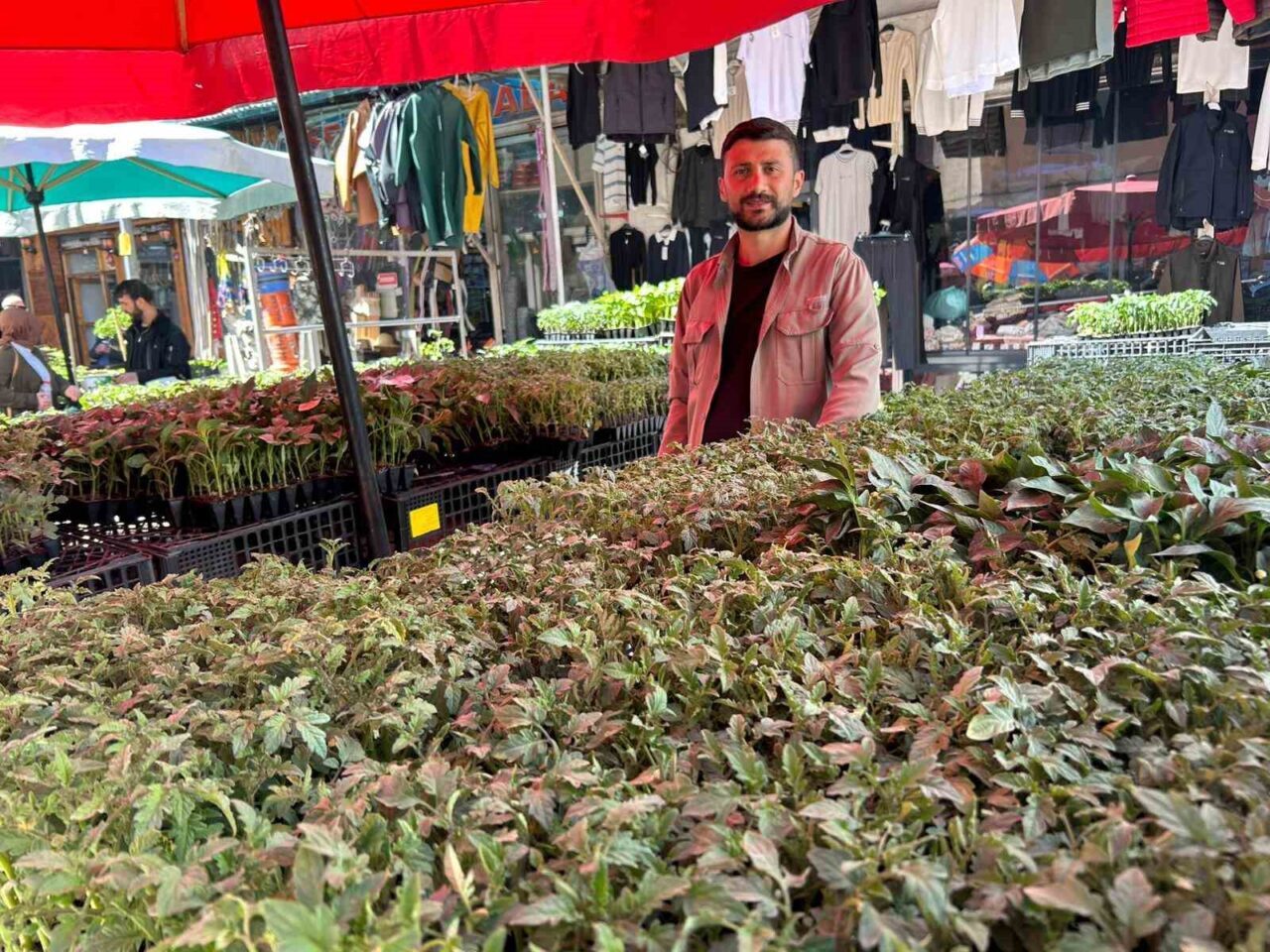Van’da hava sıcaklıklarının artmasıyla birlikte tarım ve bahçecilik sezonu açılırken,