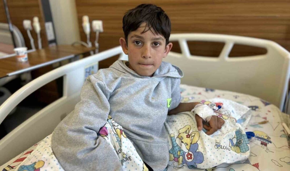 Van’ın Muradiye ilçesinde Kur’an kursuna giden 11 yaşındaki çocuk, 5