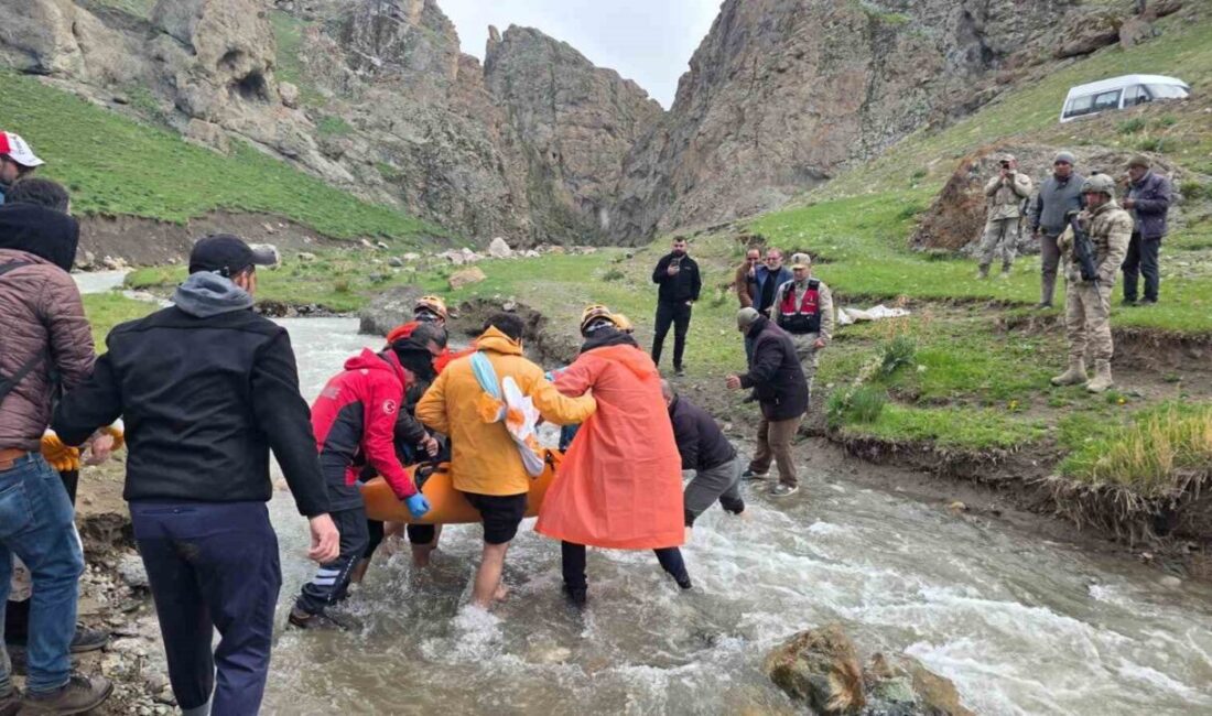 Van’ın İpekyolu ilçesinde dağlık alanda yürüyüş yaptığı sırada düşerek yaralanan