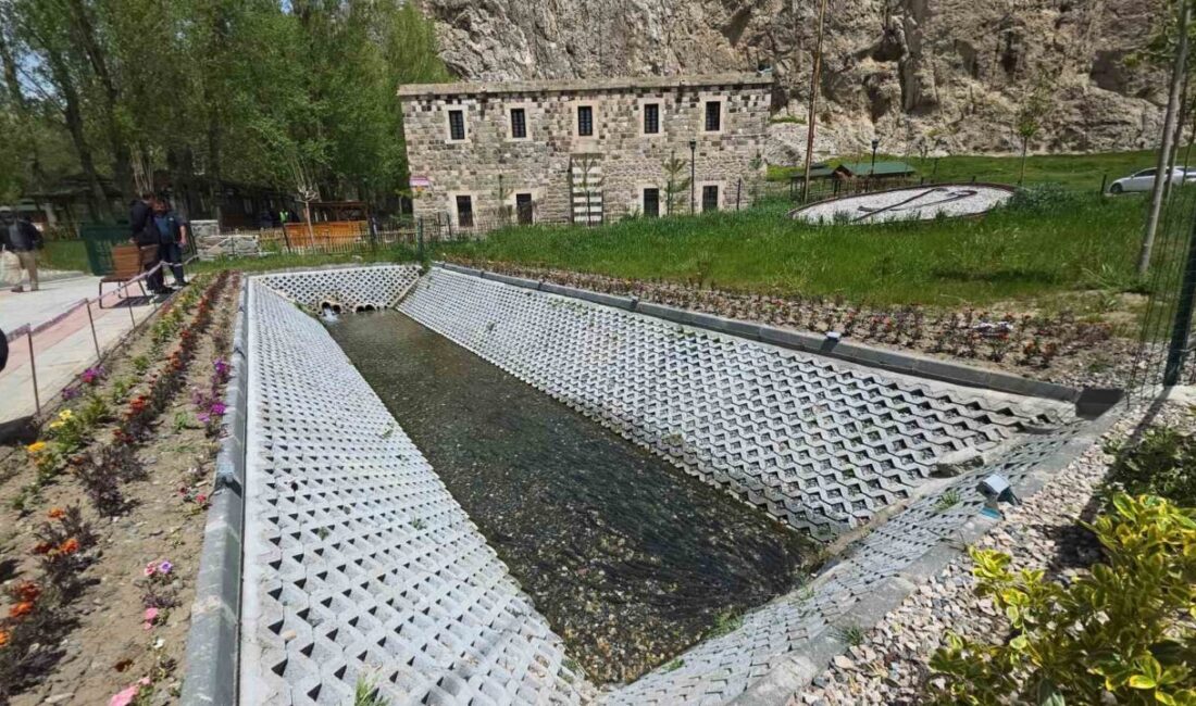 Van Gölü’nün endemik türü olan inci kefalleri, üreme döneminin başlamasıyla