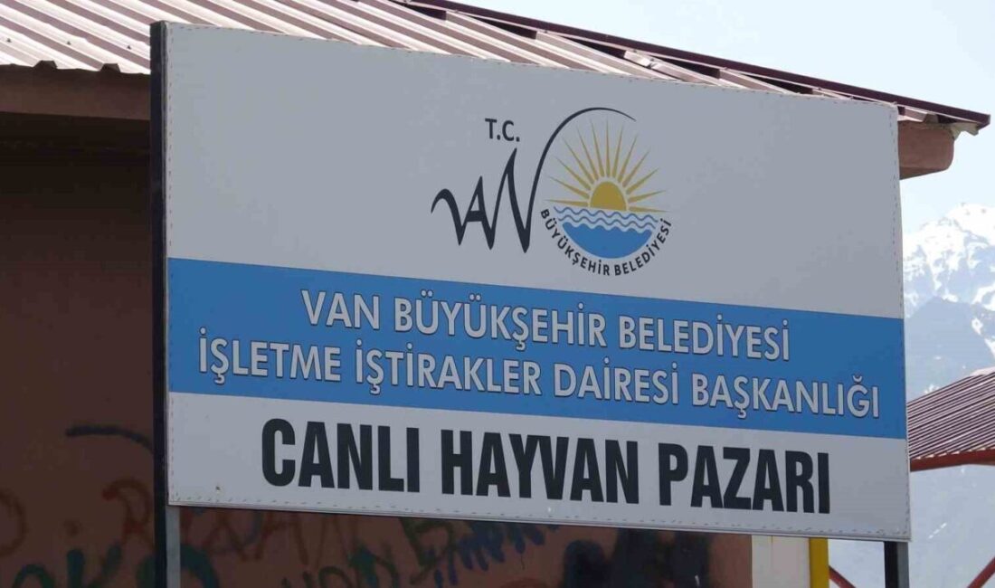 Van’ın İpekyolu ilçesinde bulunan canlı hayvan pazarında iki grup arasında