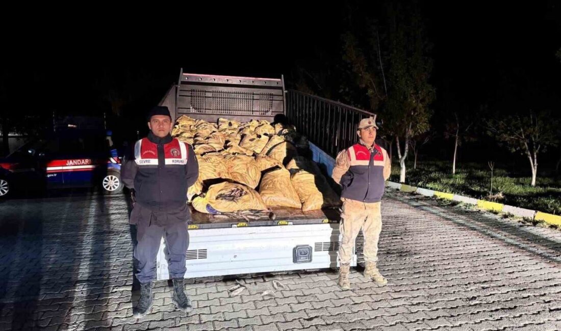 Van’ın Muradiye ilçesinde kaçak avlanan 800 kilogram inci kefali balığı