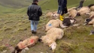 Van’ın Çaldıran ilçesinde arazide bulunan sürüye yıldırım isabet etmesi sonucu
