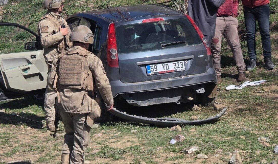 Van’ın Başkale ilçesinde, otomobilin yoldan çıkarak kaza yapması sonucu 1
