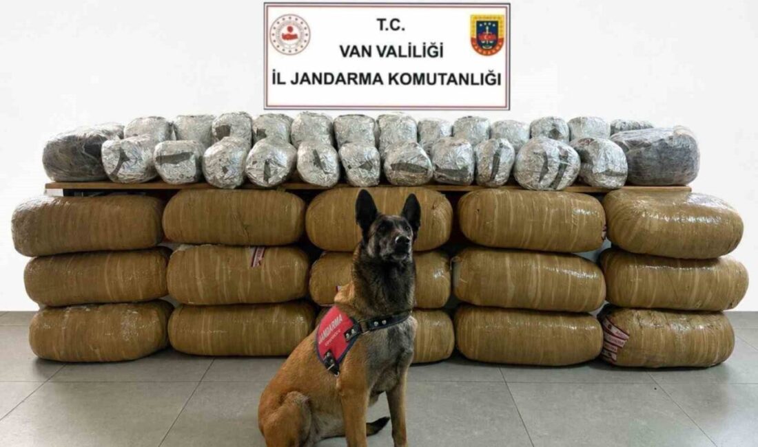 Van’da jandarma ekiplerince yürütülen çalışmalar sonucunda 443 kilo 159 gram