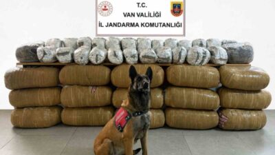 Van’da jandarma ekiplerince yürütülen çalışmalar sonucunda 443 kilo 159 gram
