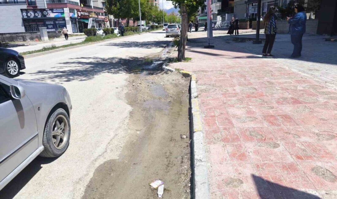 Van’ın Cumhuriyet tarihiyle yaşıt eski ve en uzun caddelerinden biri