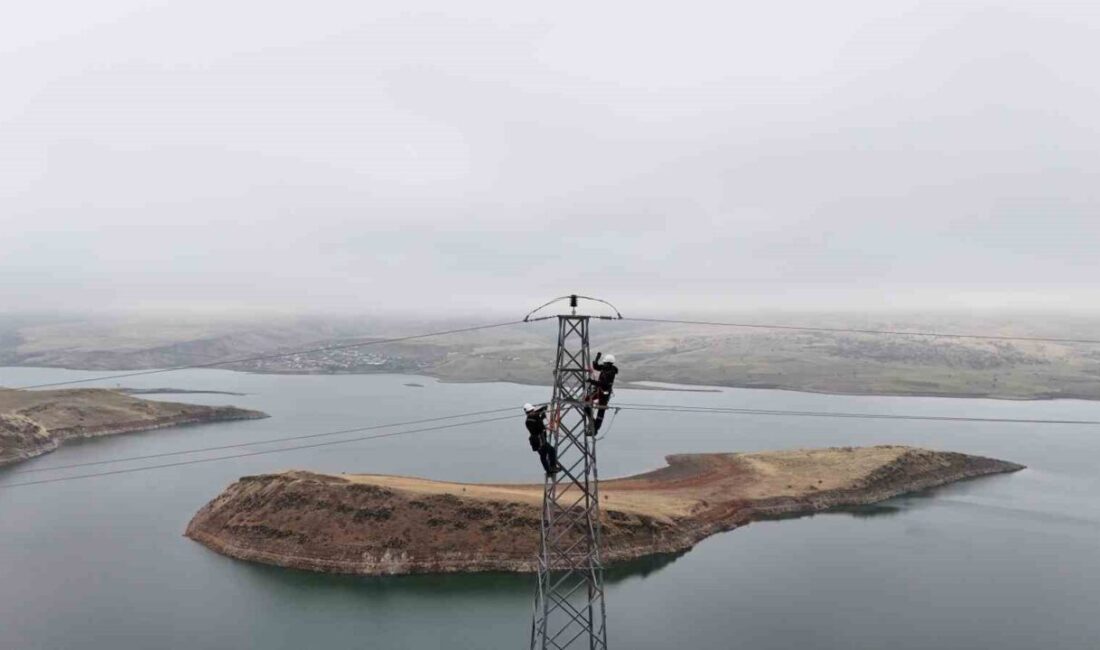 Vangölü Elektrik Dağıtım A.Ş. (VEDAŞ); Van, Bitlis, Muş ve Hakkari