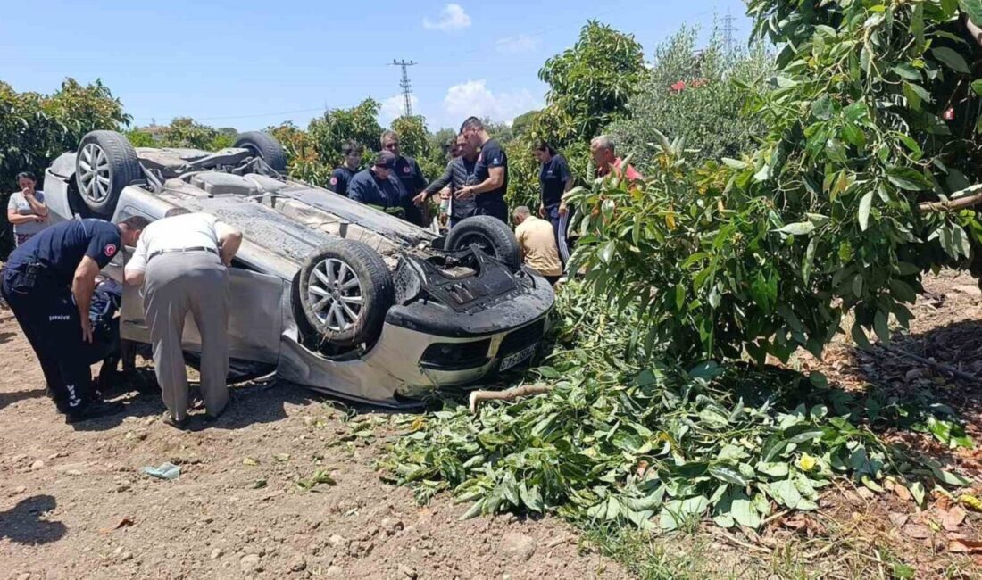 Antalya’nın Manavgat ilçesinde virajı alamayarak takla atan otomobil avokado bahçesine