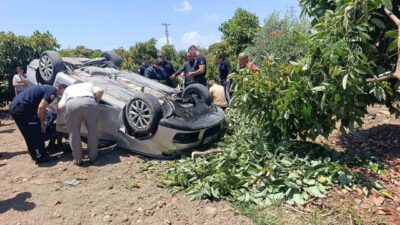 Antalya’nın Manavgat ilçesinde virajı alamayarak takla atan otomobil avokado bahçesine