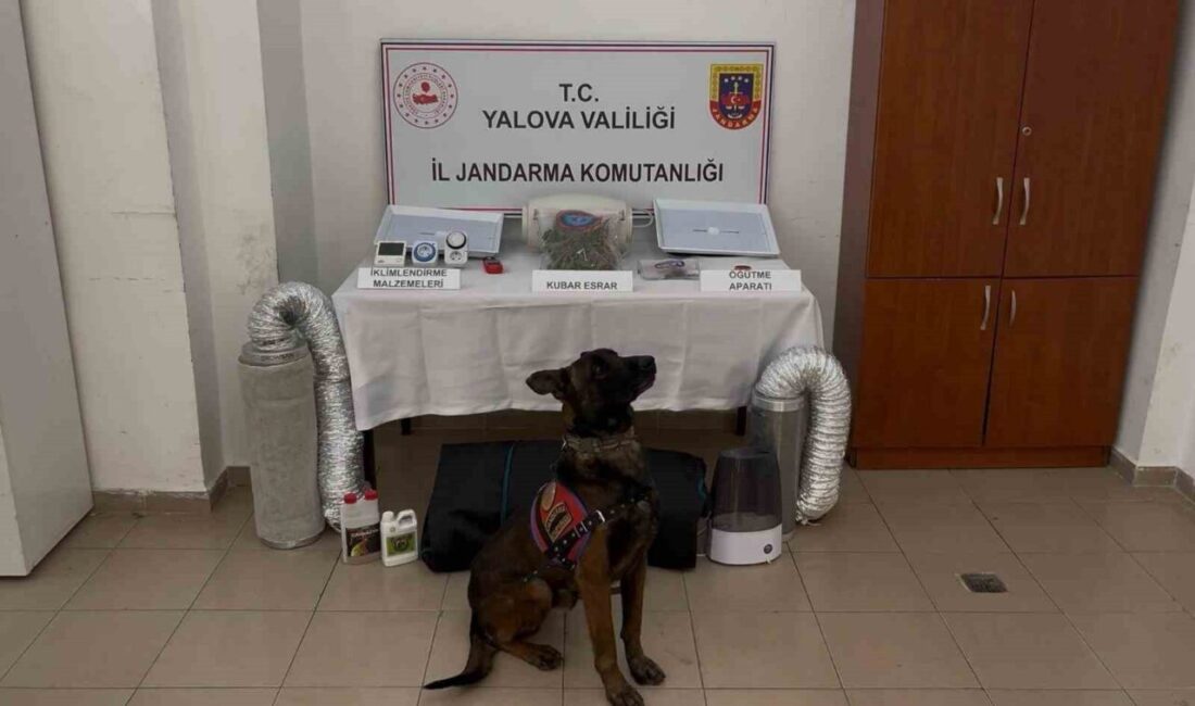 Yalova’da yasa dışı yollarla yurt dışına çıkarılmak istenen Afganistan uyruklu