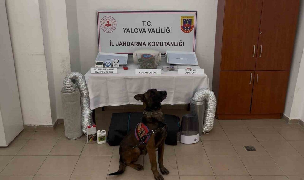 Yalova’da yasa dışı yollarla yurt dışına çıkarılmak istenen Afganistan uyruklu