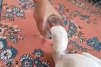 Nevşehir’in Gülşehir ilçesinde balık tutmaya giden bir vatandaş, Kızılırmak kenarında