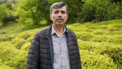 Rize, Artvin, Trabzon, Giresun ve Ordu’nun geçim kaynağı olan çayda