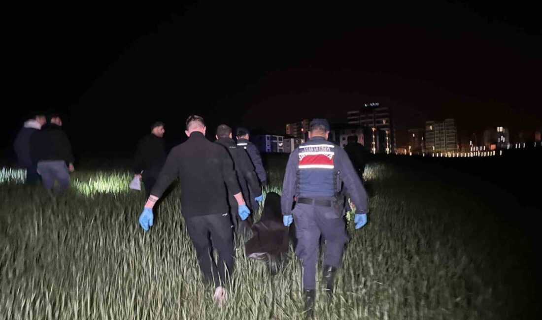 Uşak’ta tarım arazisinde ölü bulunan 63 yaşındaki Gürsel Arı’nın cinayet