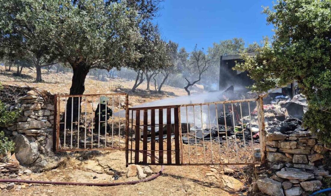 Muğla’nın Bodrum ilçesinde yaşlı bir çiftin yaşadığı konteyner, çıkan yangın