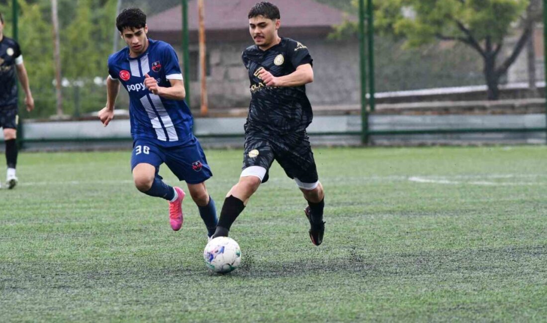 Kayseri İkinci Amatör Küme takımlarından Yavru Aslanspor mutlu sona ulaştı.