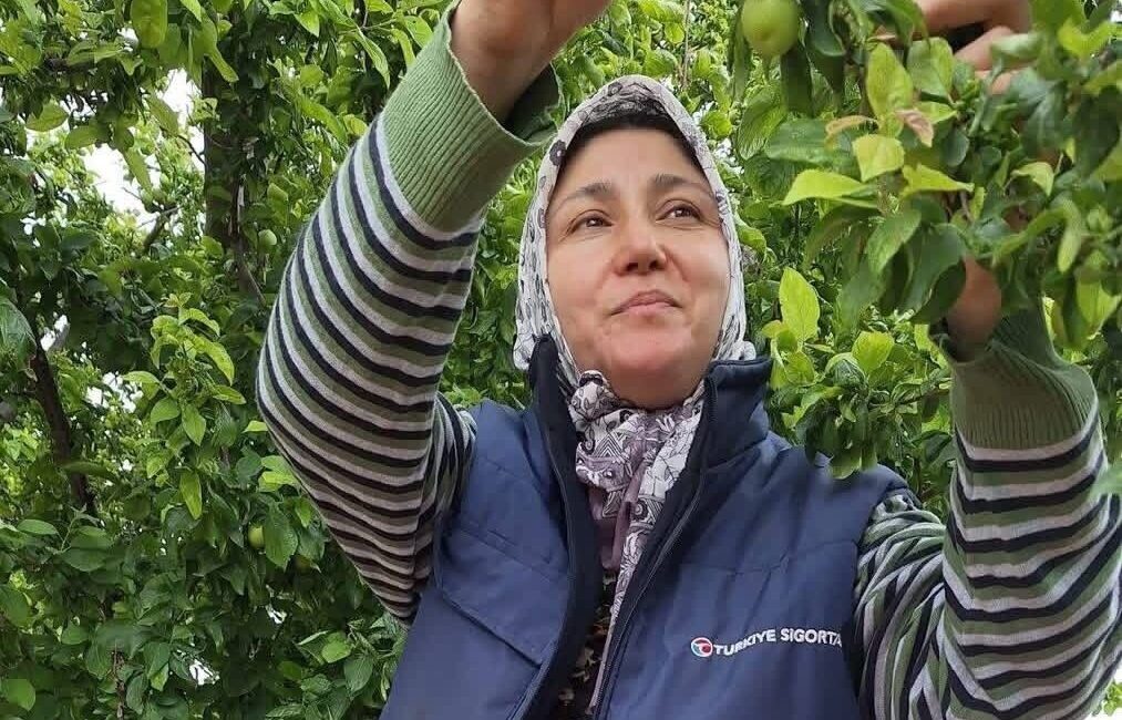 Manisa’nın Sarıgöl ilçesi ve çevresinde yaz meyvelerinde yaşanan bolluk üreticilerin