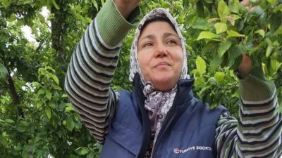 Manisa’nın Sarıgöl ilçesi ve çevresinde yaz meyvelerinde yaşanan bolluk üreticilerin