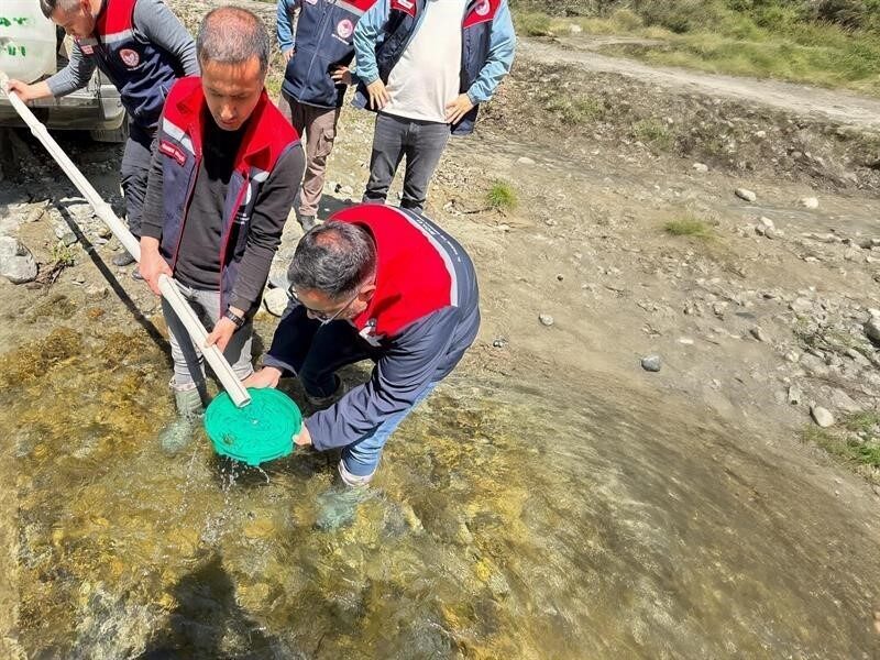 Düzce’nin Yığılca ilçesinde balık popülasyonunun arttırılması için dere ve akarsulara