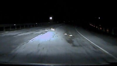 Bitlis-Diyarbakır kara yolunda sürücülerin yol kenarına bıraktığı yiyecek artıkları ve