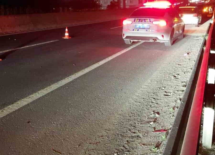 Tekirdağ’ın Çerkezköy ilçesinde yola çıkan atlar nedeniyle 3 aracın karıştığı