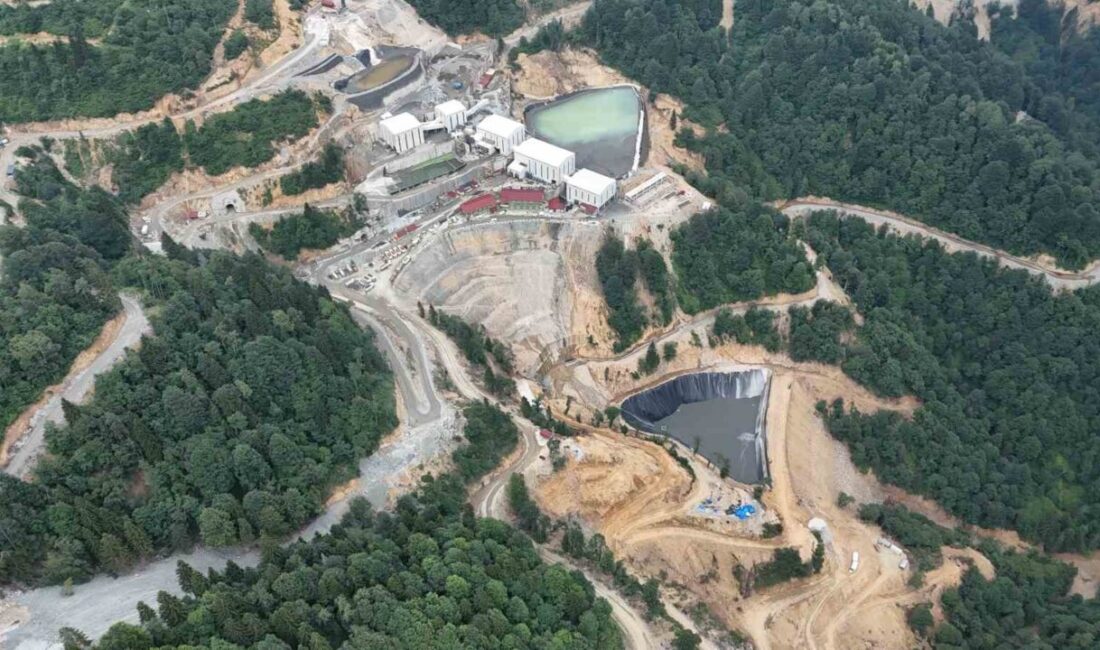 Giresun’un Doğankent ilçesinde faaliyet gösteren ve dereye atık su deşarj