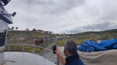 Yozgat’ın Çekerek ilçesinde balıkçı teknesinin korkuluklarına çıkan tavuk görenleri gülümsetti.