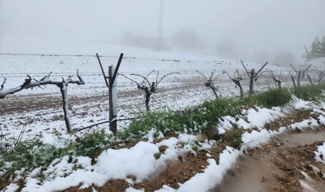 Manisa’nın Sarıgöl ilçesinde yüksek rakımlı bölgelerde etkili olan ani hava