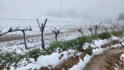 Manisa’nın Sarıgöl ilçesinde yüksek rakımlı bölgelerde etkili olan ani hava