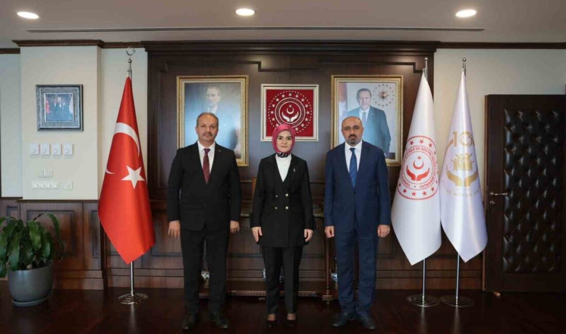 Hakkari’de sosyal hizmet çalışanına yönelik gerçekleştirilen saldırının ardından, Sağlık-Sen heyeti