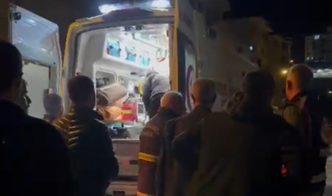 Hakkari’nin Yüksekova ilçesinde Alzheimer hastası olan 56 yaşındaki Ayfer Kızıldoğan,